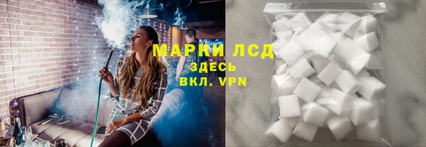 сатива Инсар