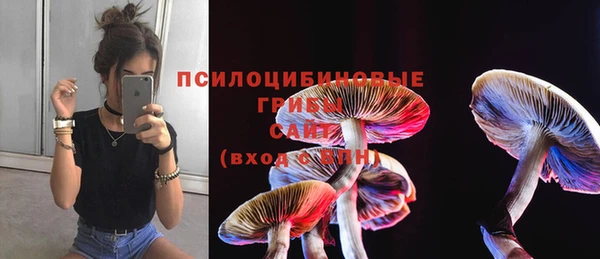мяу мяу мука Каменногорск