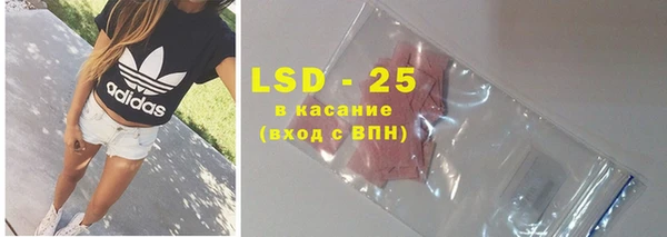 сатива Инсар