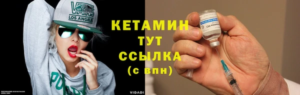сатива Инсар