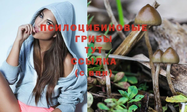 мяу мяу мука Каменногорск