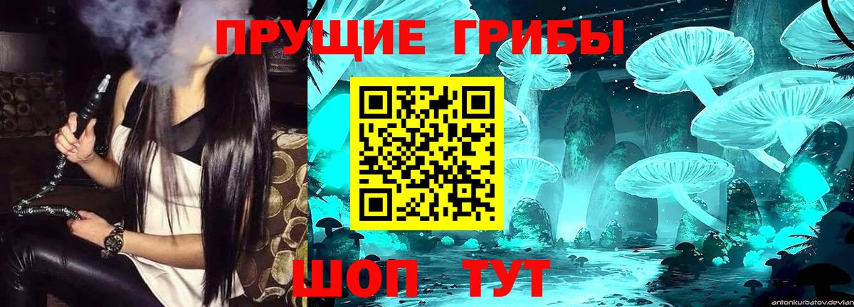 Люберцы  Псилоцибиновые грибы Psilocybine cubensis  Вход с VPN 