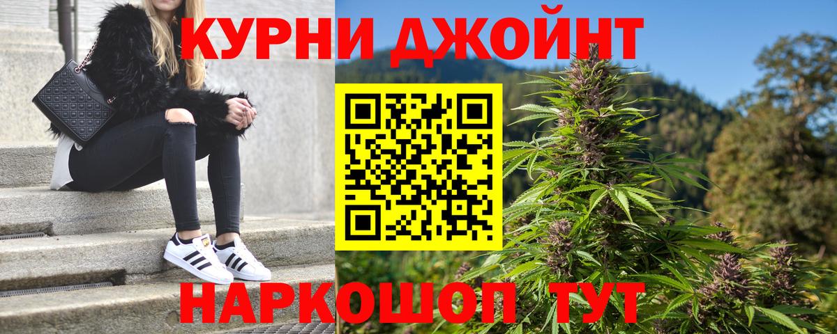 Канабис сатива Люберцы
